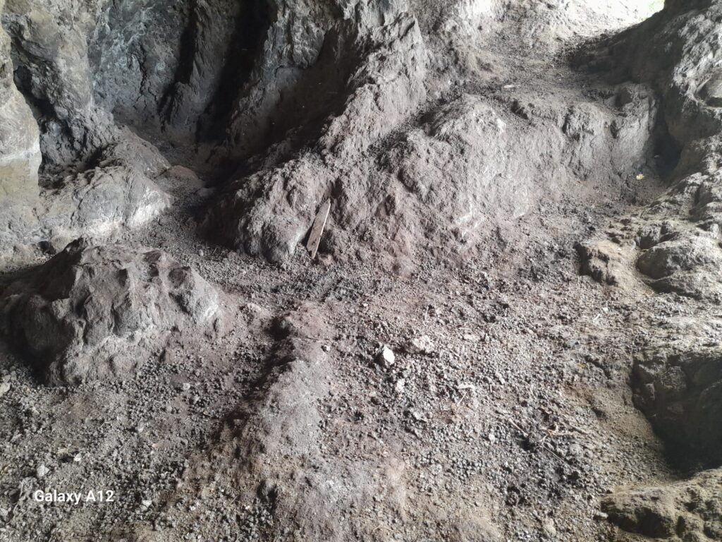 Teneriffa-Nord, La Orotava: Archäologische Höhle als Ziegenstall missbraucht 93 Archaeologische
