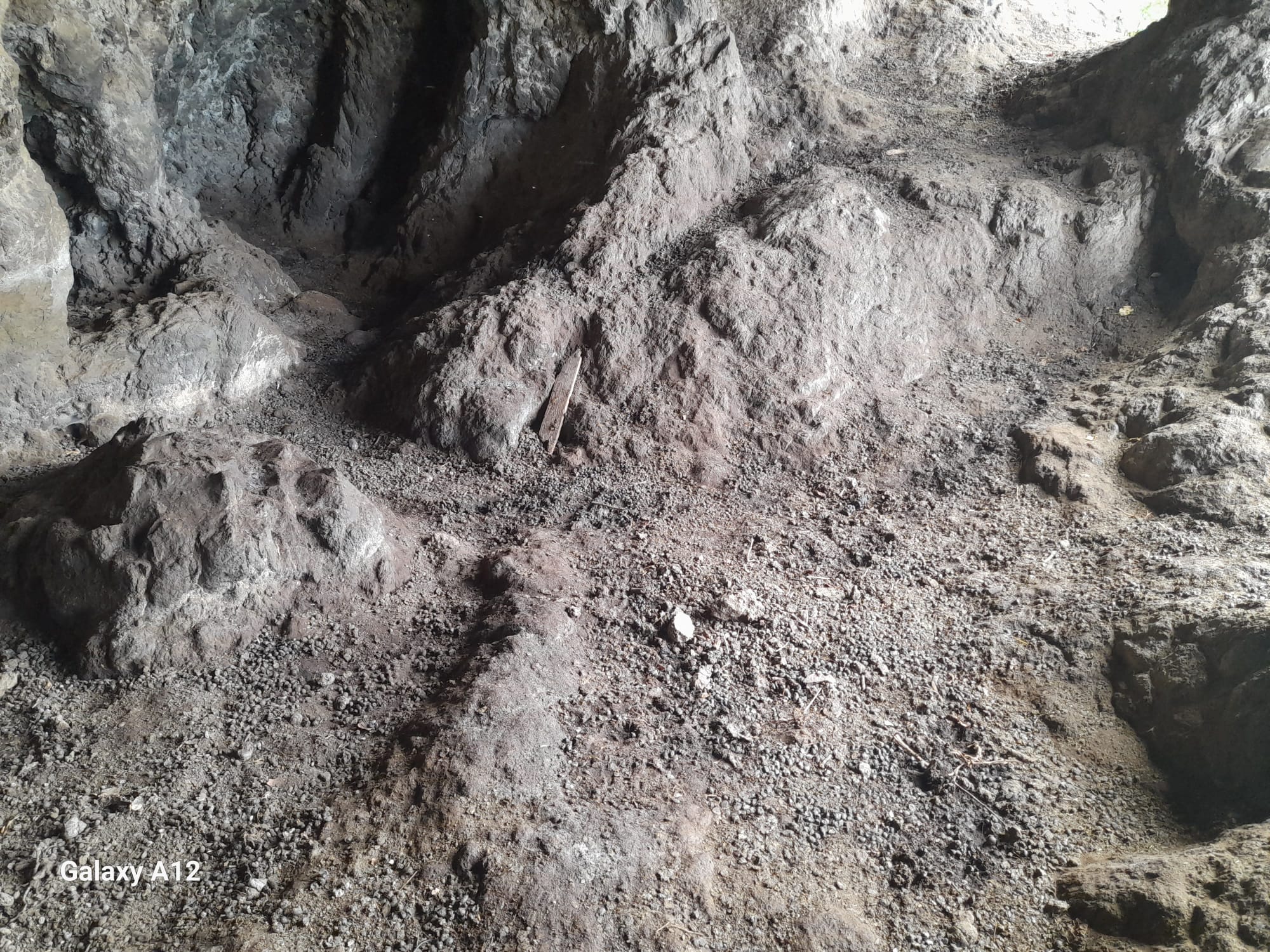 Teneriffa-Nord, La Orotava: Archäologische Höhle als Ziegenstall missbraucht 1 Archaeologische