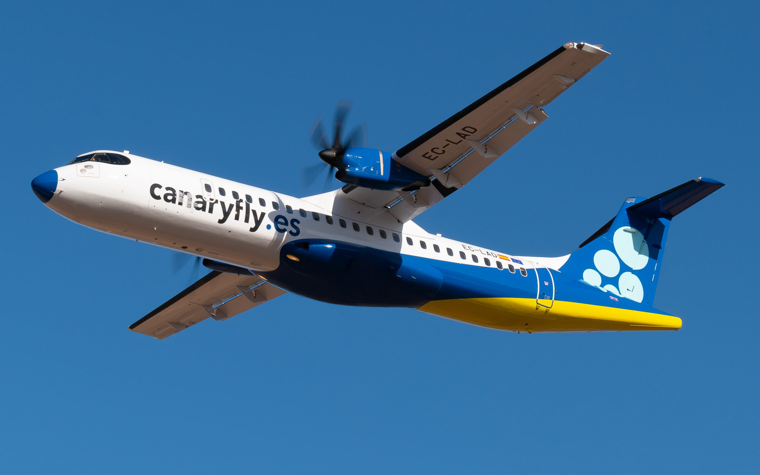 Canaryfly 1 scaled