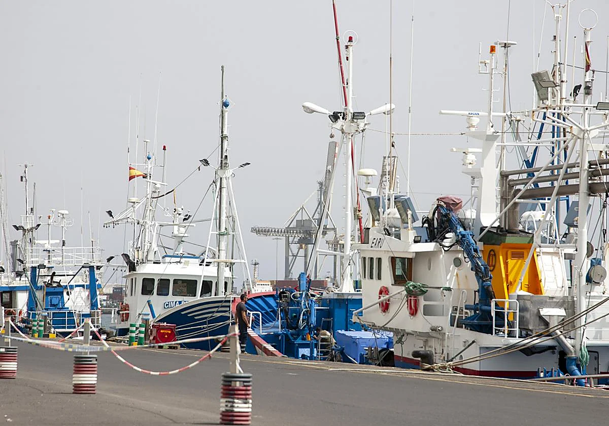 Lanzarote, Arrecife: Fischfang leidet 1 Fischfang