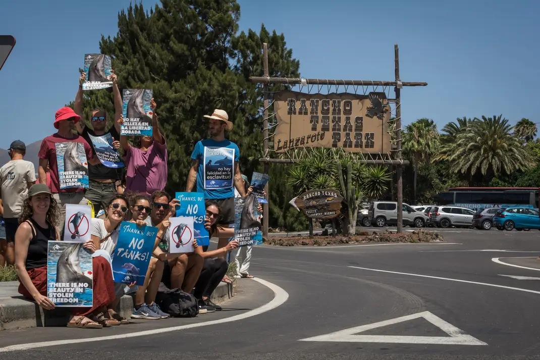 Protest 1