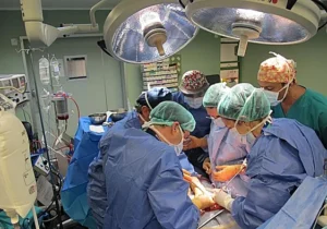 Transplantationsrekord