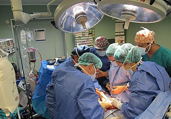 Transplantationsrekord