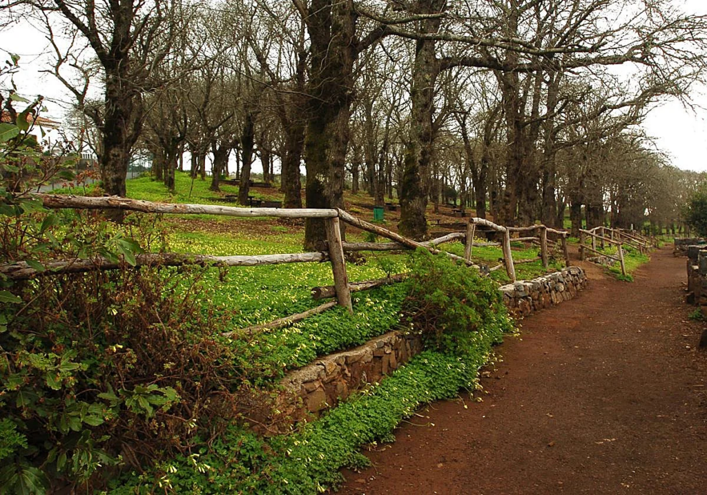 Valleseco