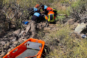 Teneriffa-Süd, Granadilla de Abona: Beim Gassigehen vermisst 9 Beim Gassigehen