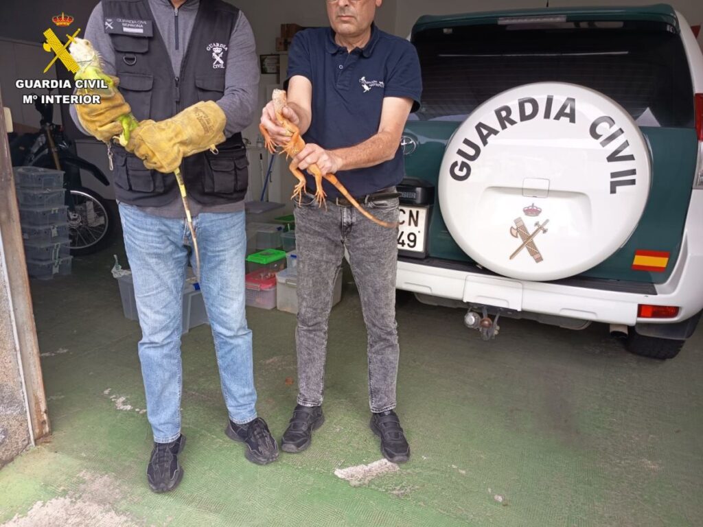 Exotische