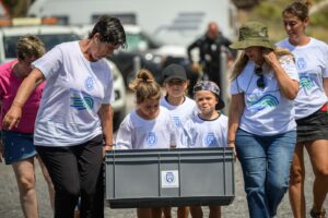 Teneriffa-Nordost, Santa Cruz: Freiwilliger Einsatz am Tag der Ozeane 7 Freiwilliger
