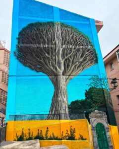 Teneriffa-Nord, Los Realejos: Graffiti für den legendären Drachenbaum 5 Graffiti