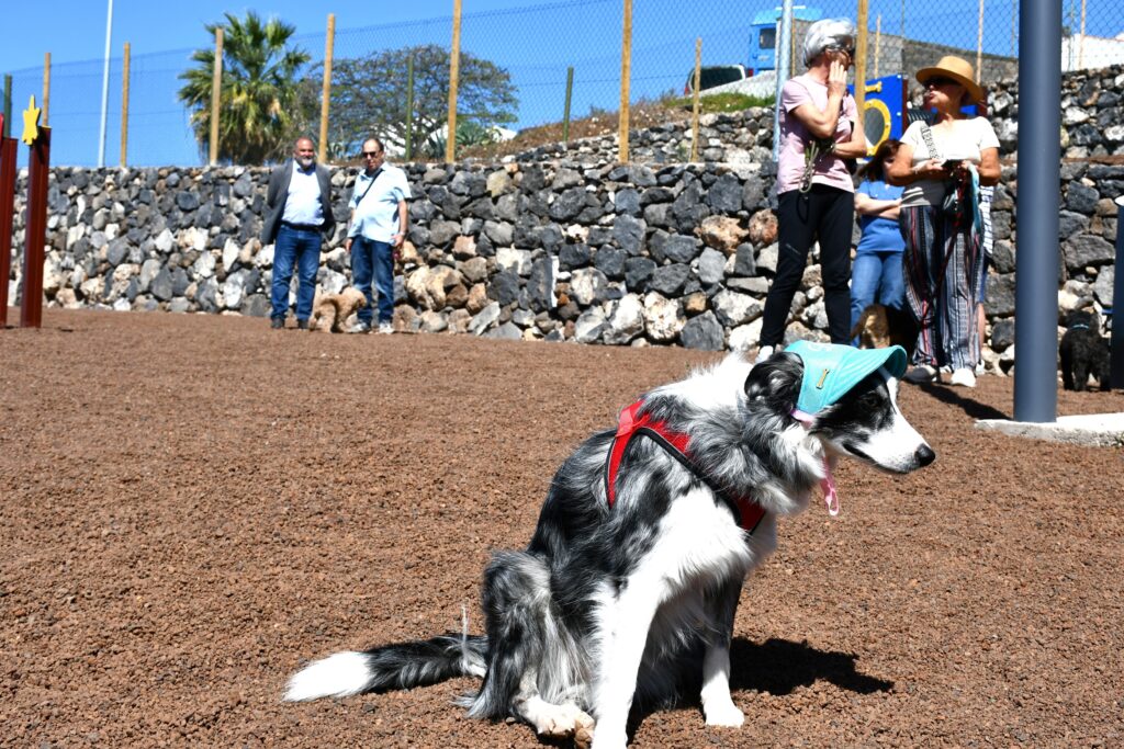 Teneriffa-Ost, El Rosario: Hundepark für Radazul 100 Hundepark