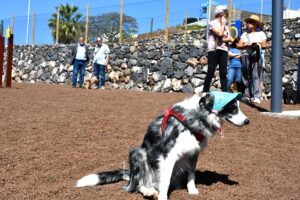 Teneriffa-Ost, El Rosario: Hundepark für Radazul 4 Hundepark