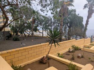 Gran Canaria-Nord, Las Palmas: Hundepark in Zárate eröffnet 3 Hundepark