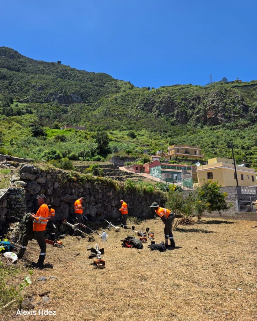 Teneriffa-Nord, Los Realejos: Säuberungsaktion auf verlassenen Fincas 91 Saeuberungsaktion