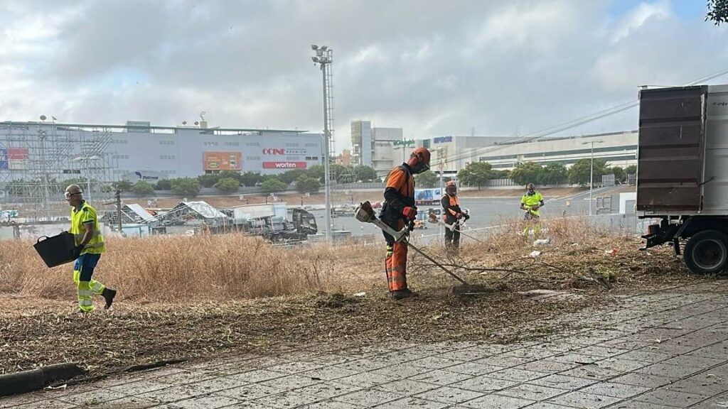 Gran Canaria-Nord, Las Palmas: Sonder-Reinigungstrupps für den Papstbesuch 94 Sonder