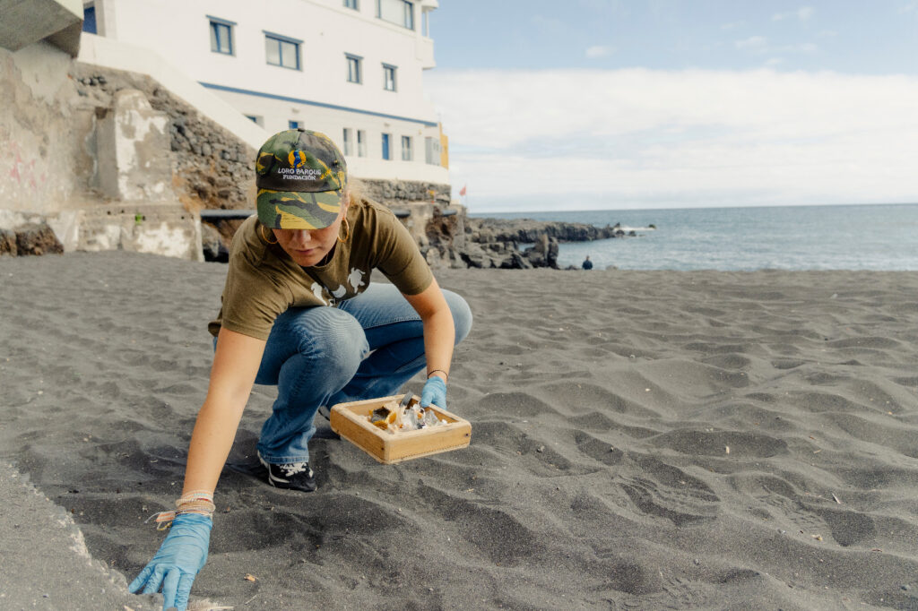 Teneriffa-Nord, Puerto de la Cruz: Cybell Kiessling kritisiert Strandschließungen 95 Cybell