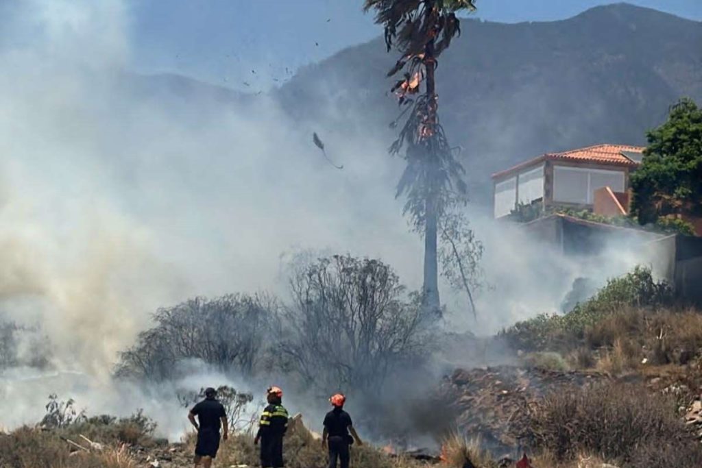 Teneriffa-Ost, Candelaria: Feuer in Candelaria 91 Feuer
