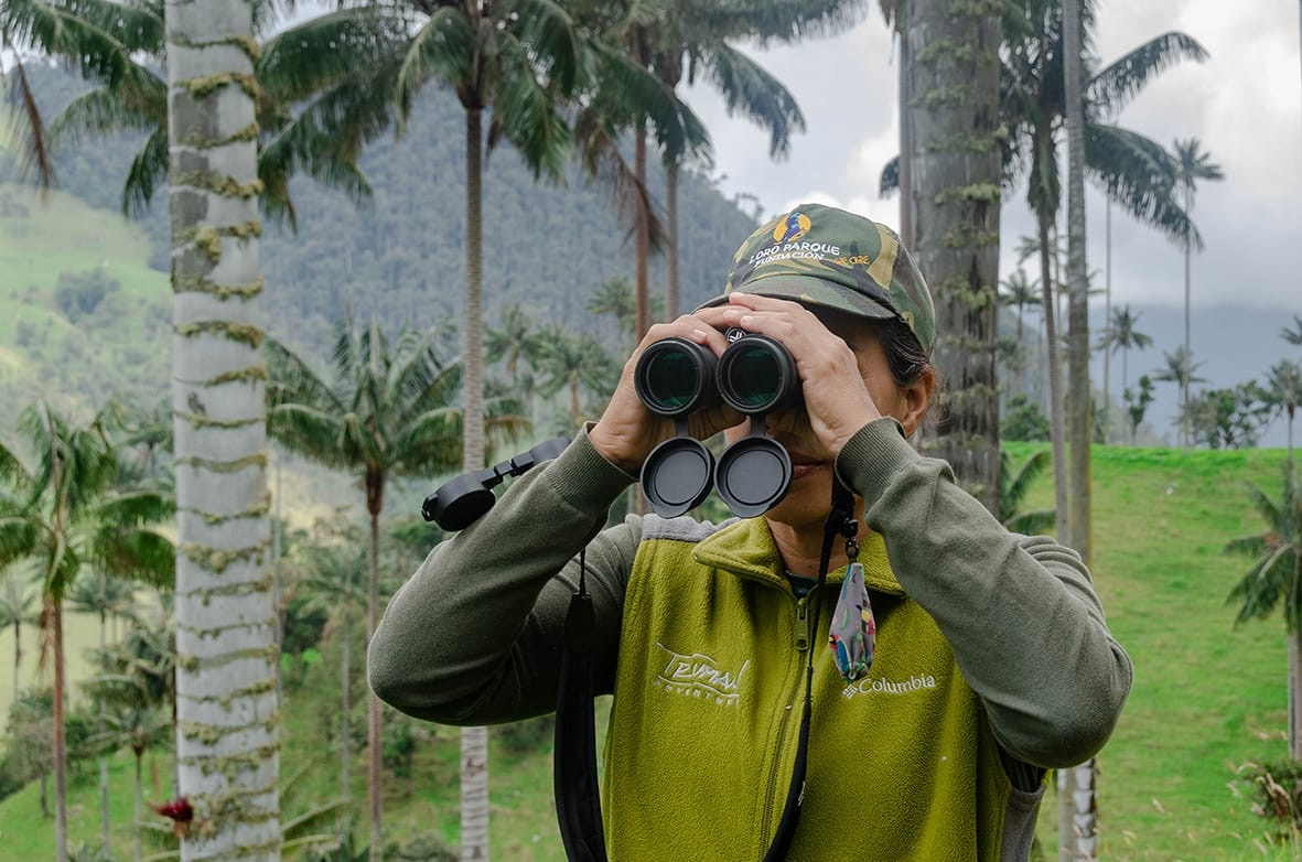Teneriffa-Nord, Puerto de la Cruz: Loro Parque sucht neue Schutzprojekte 1 Loro Parque