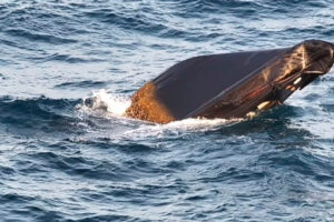 Teneriffa-Nord, Güímar: Mögliches, versunkenes Drogenboot aufgetaucht 11 Moegliches
