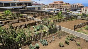 Teneriffa-Nord, La Orotava: Ökogärten zu vergeben 16 Oekogaerten