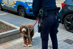 Teneriffa-Nordost, Santa Cruz: Polizeihund entdeckt Drogen-Rucksack 4 Polizeihund