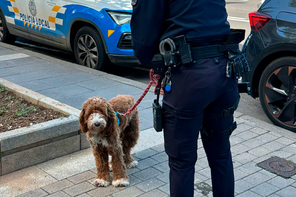 Polizeihund