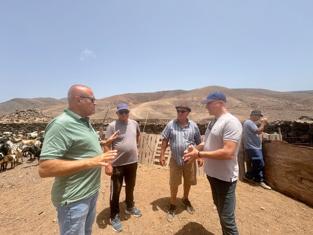 Fuerteventura, Antigua: Rückendeckung für Ziegenhirten 99 Rueckendeckung