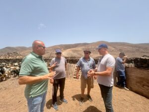 Fuerteventura, Antigua: Rückendeckung für Ziegenhirten 21 Rueckendeckung