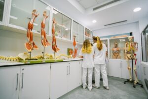 Teneriffa-Nord, La Orotava: Vergünstigungen für die Privatuniversität 13 Verguenstigungen