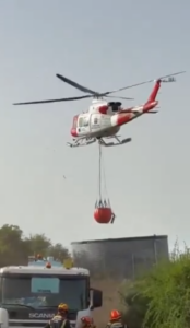Gran Canaria-Ost, Telde: Waldbrand auf Gran Canaria 5 Waldbrand