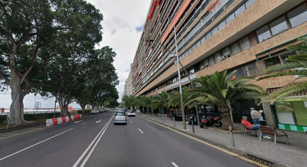 Avenida Francisco La Roche