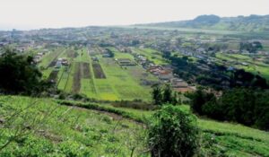 Teneriffa-Nordost, La Laguna: Plötzlicher Tod eines Trail-Runners 13 Barrio del Camino Tornero La Laguna