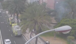 Gran Canaria-Nordost, Las Palmas: Brand im Park und in einem Haus 4 Brand Las Palmas