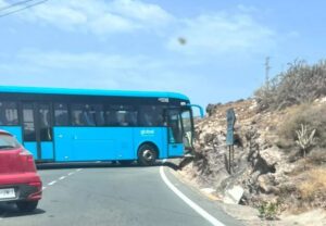 Bus