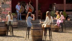 Teneriffa-Nord, El Sauzal: Eine „Sonne“ für die Casa del Vino 15 Casa del Vino