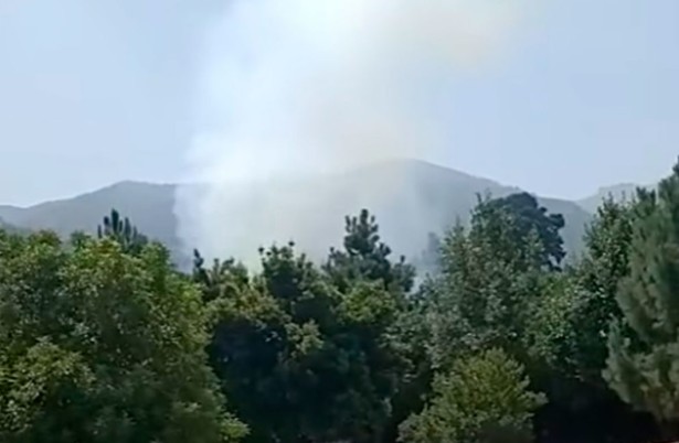 Feuer Pinolere