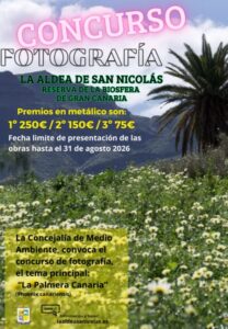 Gran Canaria-West, La Aldea de San Nicolás: 250 Euro für das schönste Palmen-Foto 9 Fotowettbewerb La Aldea