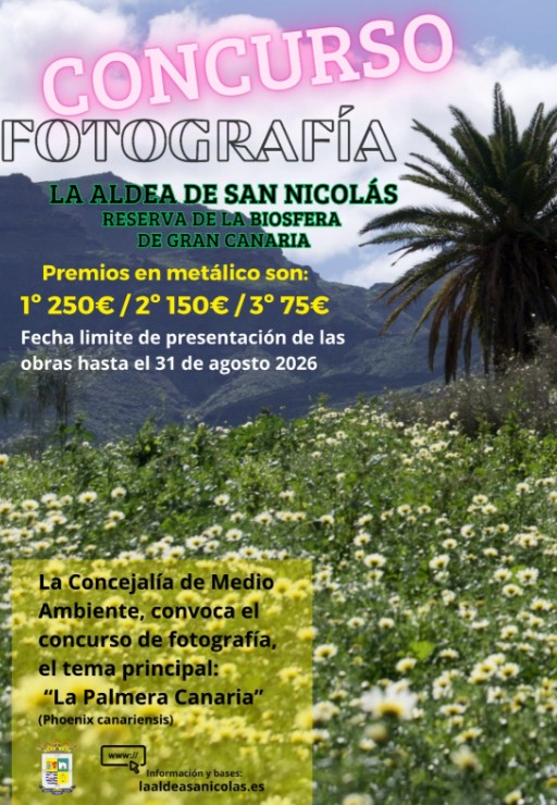 Gran Canaria-West, La Aldea de San Nicolás: 250 Euro für das schönste Palmen-Foto 99 Fotowettbewerb La Aldea