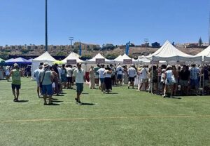 Gran Canaria-Nordost, Las Palmas: Erste Auflage des Socarrat Fests 3 Socarrat Fest