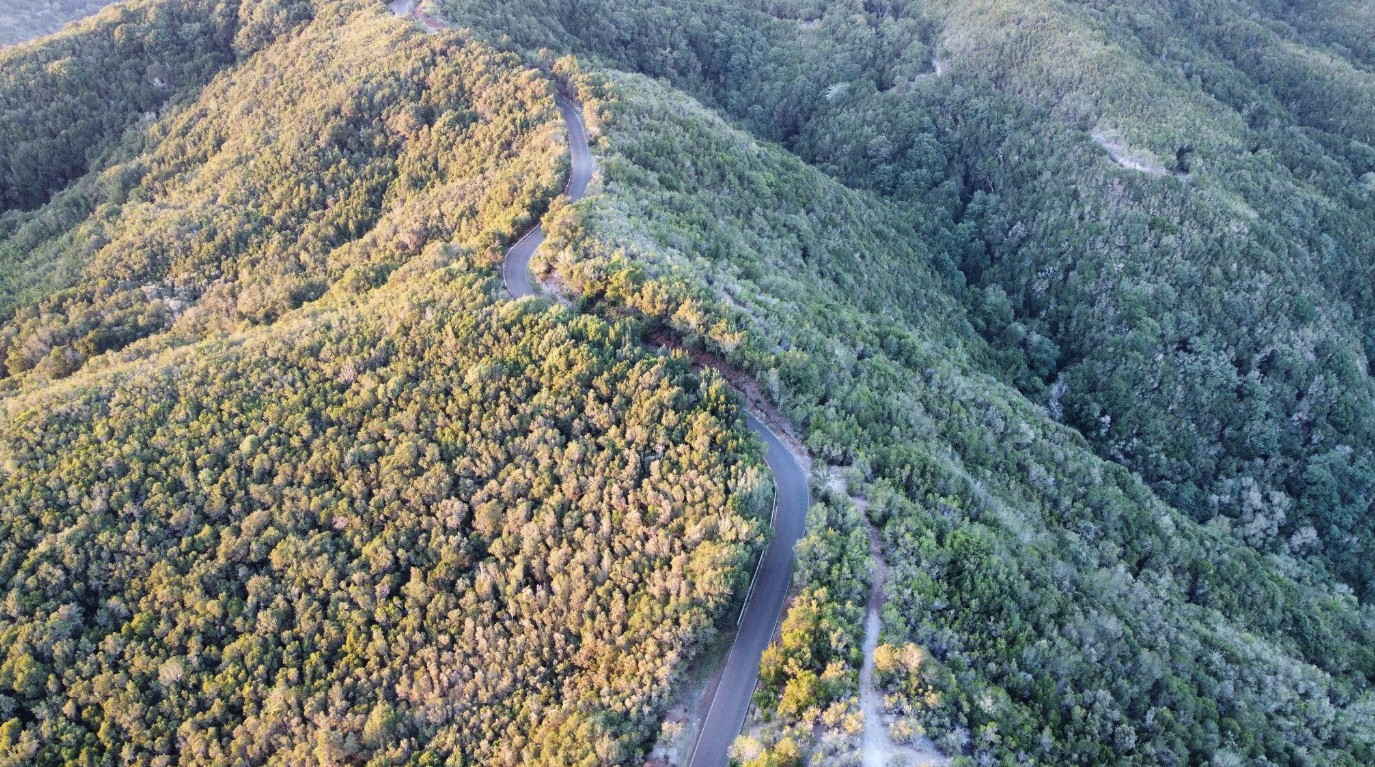 Strasse La Gomera
