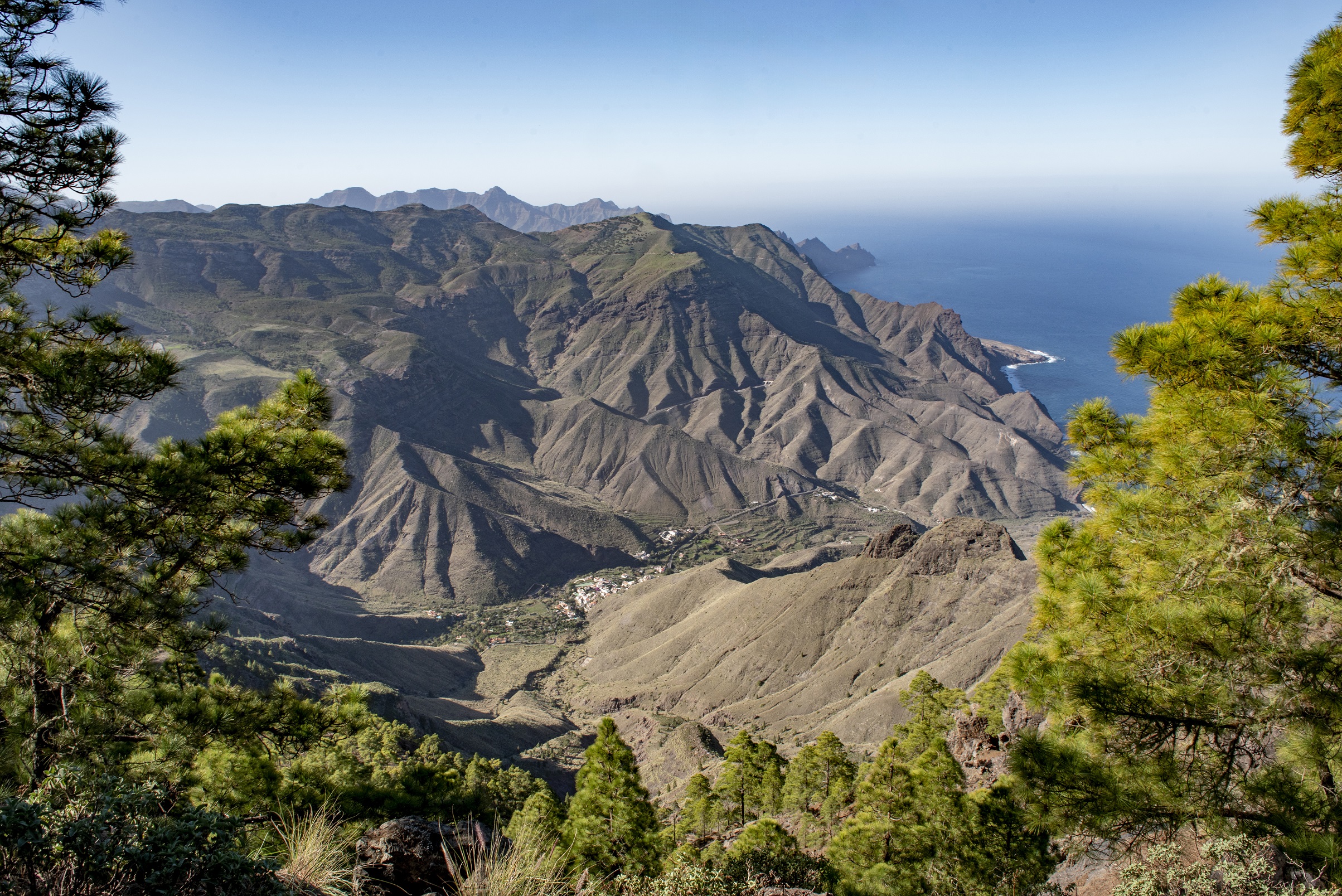 Gran Canaria: Anpassung an den Klimawandel 1 Tamadaba FOTO DE NACHO GONAZALEZ
