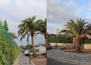 Gran Canaria-Süd, San Bartolomé de Tirajana: Erneuerung des „Campo Internacional“ 4 Vergleich Campo Internacional