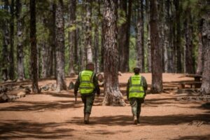 Kanarische Inseln: Hitze und Waldbrandgefahr 4 Waldbrandgefahr