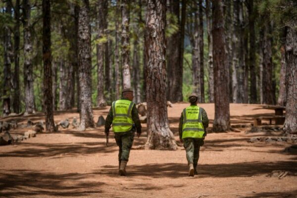 Kanarische Inseln: Hitze und Waldbrandgefahr 4 Waldbrandgefahr