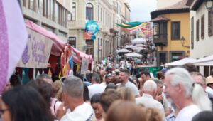Teneriffa-Nord, La Orotava: Mehr als 15.000 Besucher 12 Arte joven