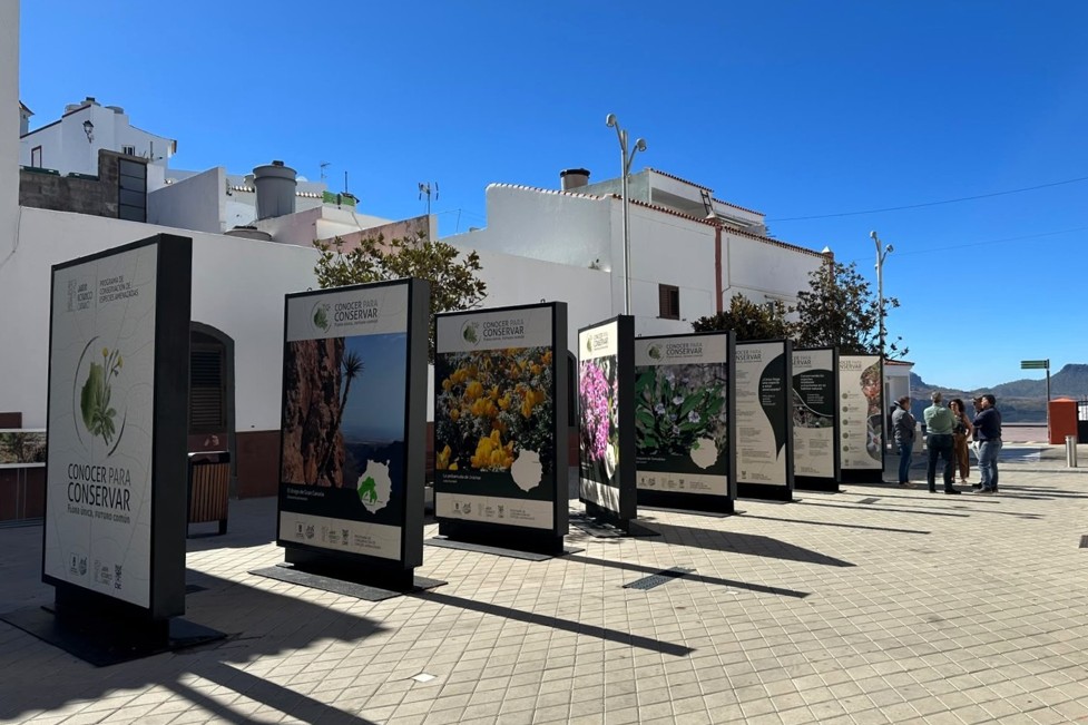 Ausstellung 1