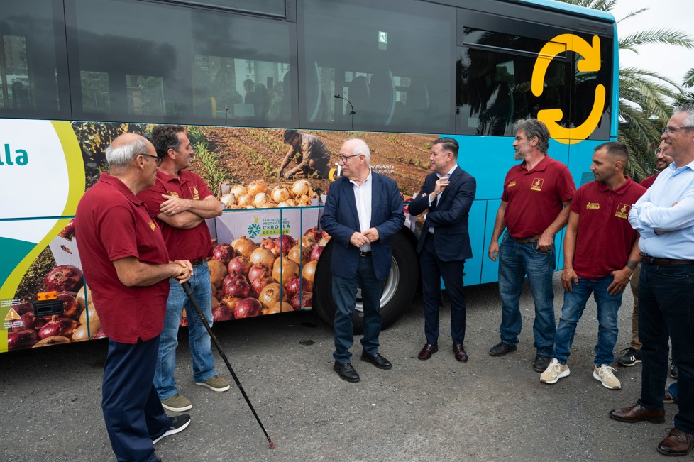 Gran Canaria-Nordwest, Gáldar: Zwiebeln auf dem Bus 1 Bus Zwiebeln Galdar