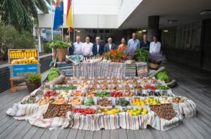 Gran Canaria-Nordost, Las Palmas: Mehr als eine Tonne Lebensmittel 5 Cabildo Gran Canaria carreta fiesta del pino