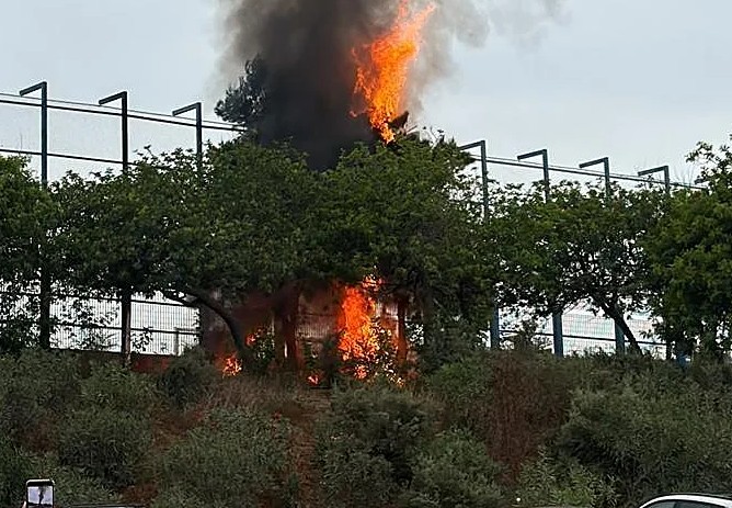 Feuer 1