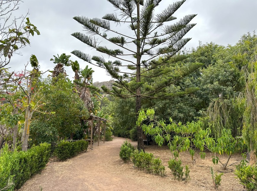 Finca el galeon