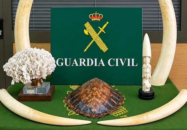 Fund Guardia Civil