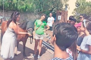 Teneriffa-Süd, Arona: Tageszentrum für gefährdete Kinder in der Schwebe 17 Kinder Besuch accion del sol